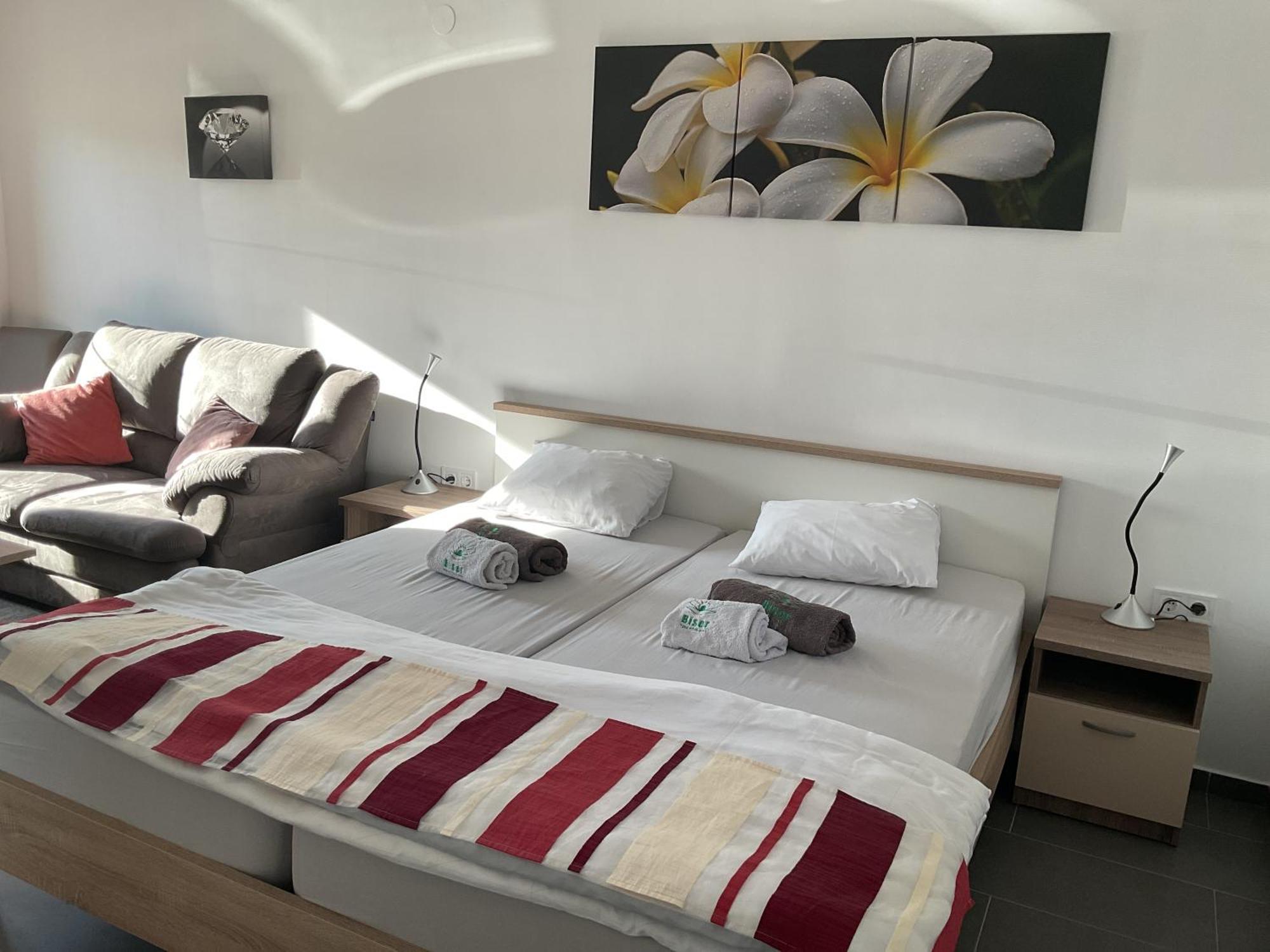 Studio Apartmani Biser 1, 2, 3 Deluxe Tuheljske Toplice Exterior foto